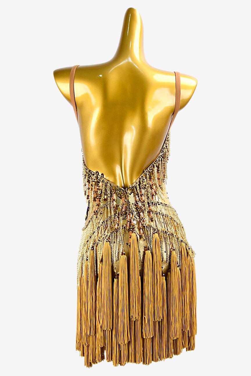 Gold Dot Shine Lycra Latin Dress with Tassels, Mirror Stones, Crystal AB, and Beaded Fringes image 1