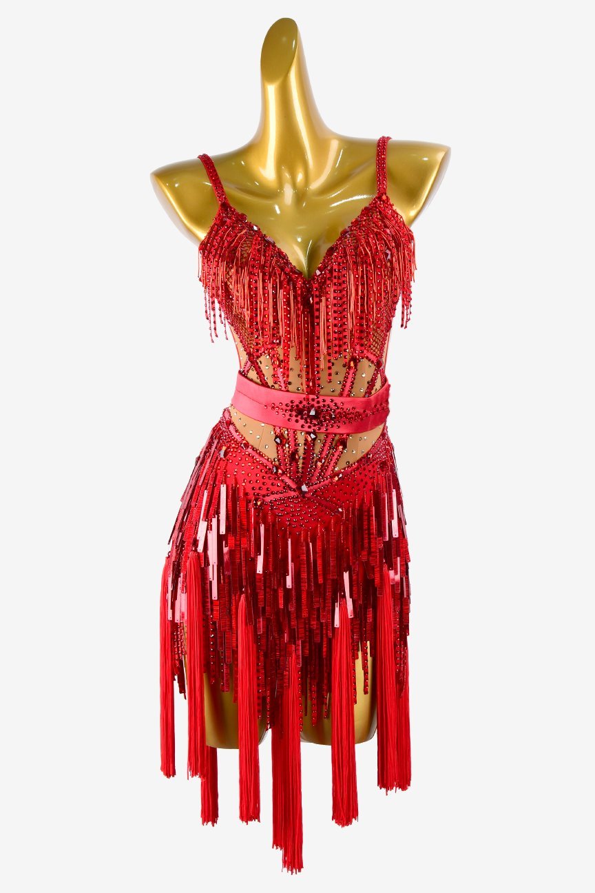 Crimson matt lycra Latin dress with stone fringes, sequins, beaded fringes, tassels and crystals image 0