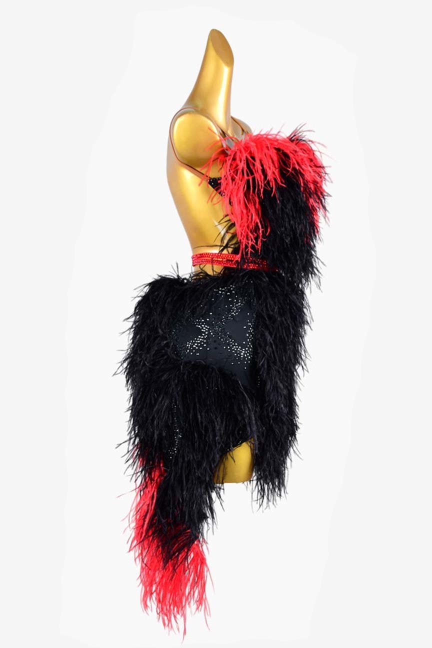 BaileBelle Black Matte Lycra Backless Latin Dress with Rhinestones and Feather Details image 3