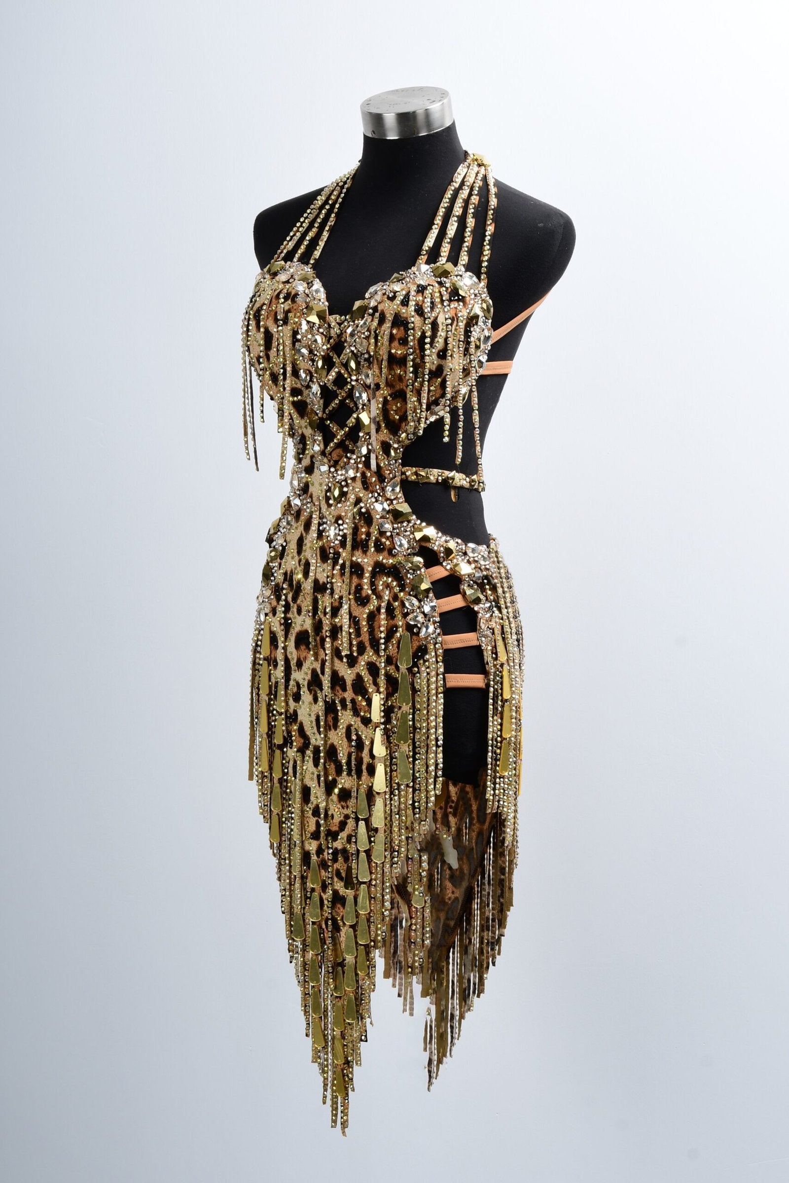 Crystalline Leopard Print Latin Feather Dress for Latin/Rhythm Dance image 2