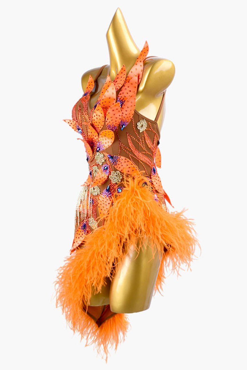 Sun oranger mesh Latin dress with rhinestone applique, beaded fringes, feathers & crystals image 2