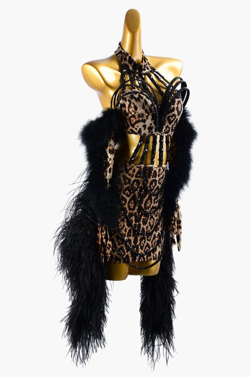 Leopard print Latin dress with feather and crystal AB image 1