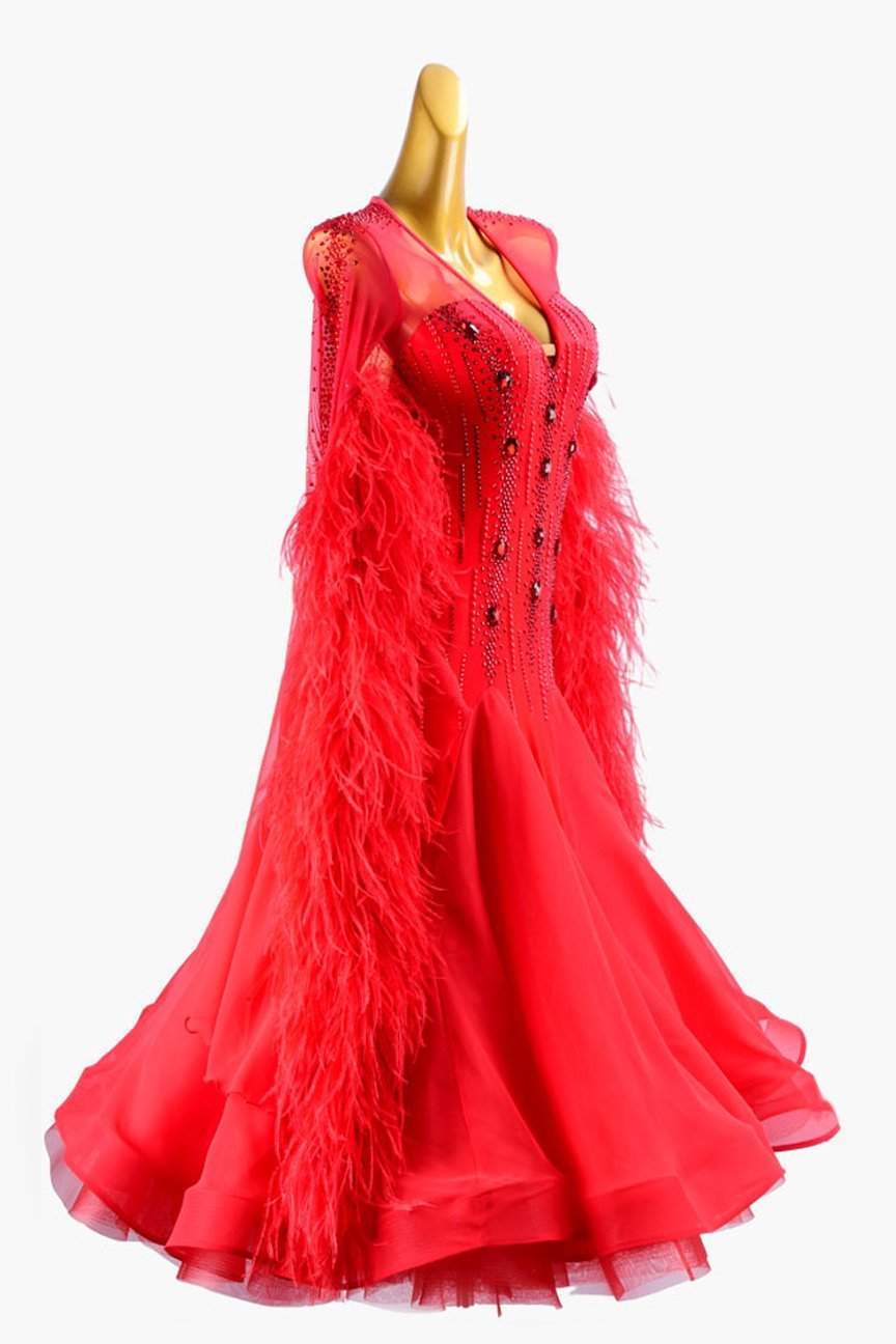 Red lycra Standard dress with pearl chiffon underskirt with feathers, crystals & sew-on stones image 1