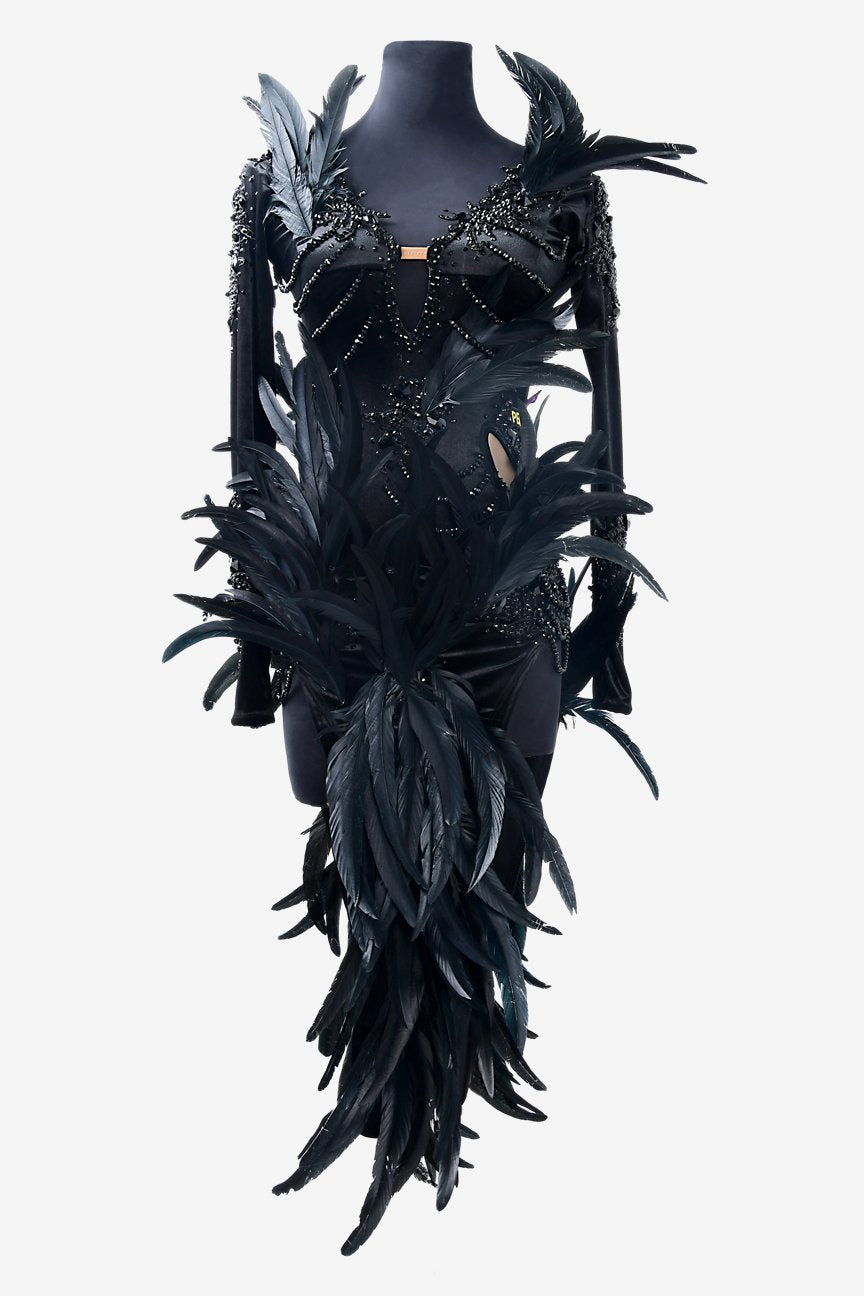 Black stretch velvet Latin dress with mesh sleeves, beadings, feathers, crystals & sew-on stones image 0