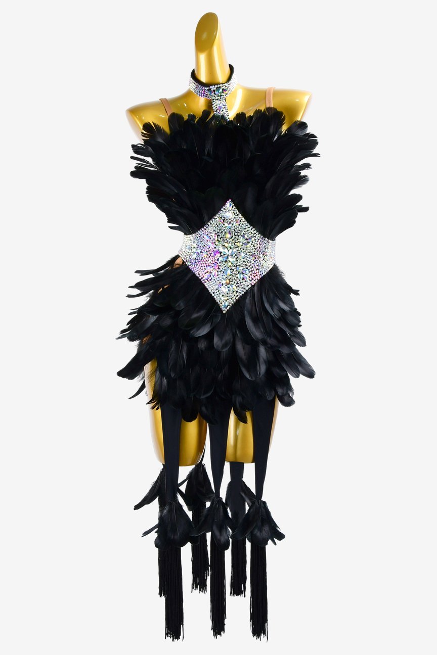 Black Latin Dress with Tassels, Feathers, White Crystal AB, and Sew-On Stones image 0
