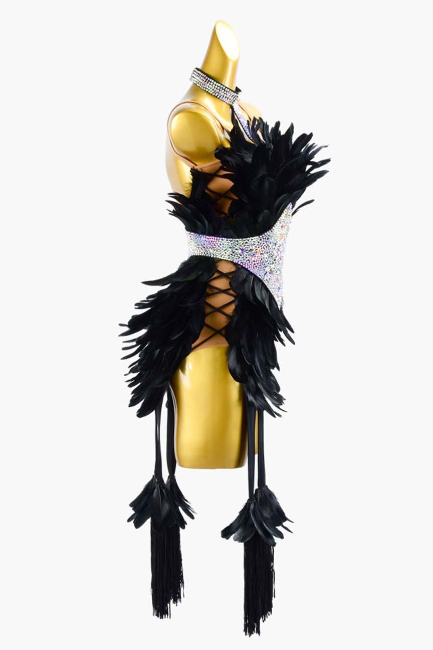 Black Latin Dress with Tassels, Feathers, White Crystal AB, and Sew-On Stones image 3