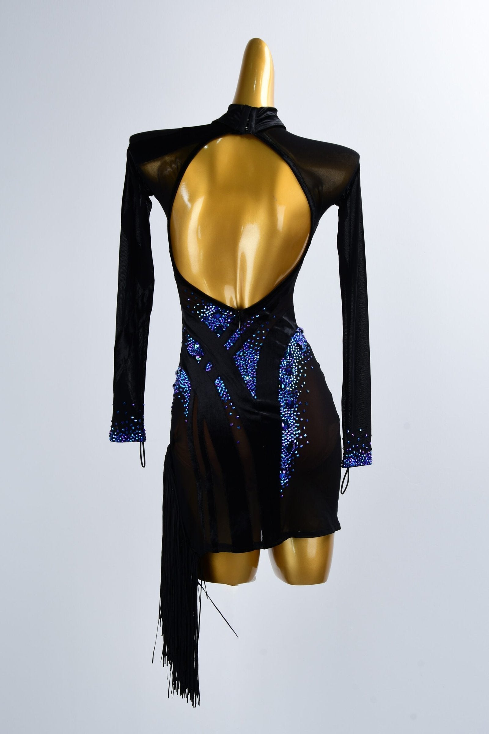 Latin Dance Dress High-end Customized Long Sleeved Tulle Tassel Dance Dress image 1