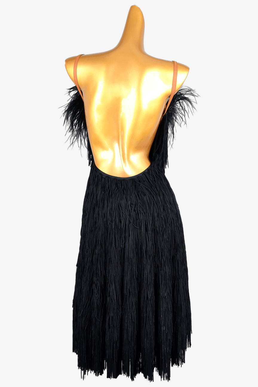 Black Matte Lycra Backless Latin Dress with Fringe and Feather Accents image 0