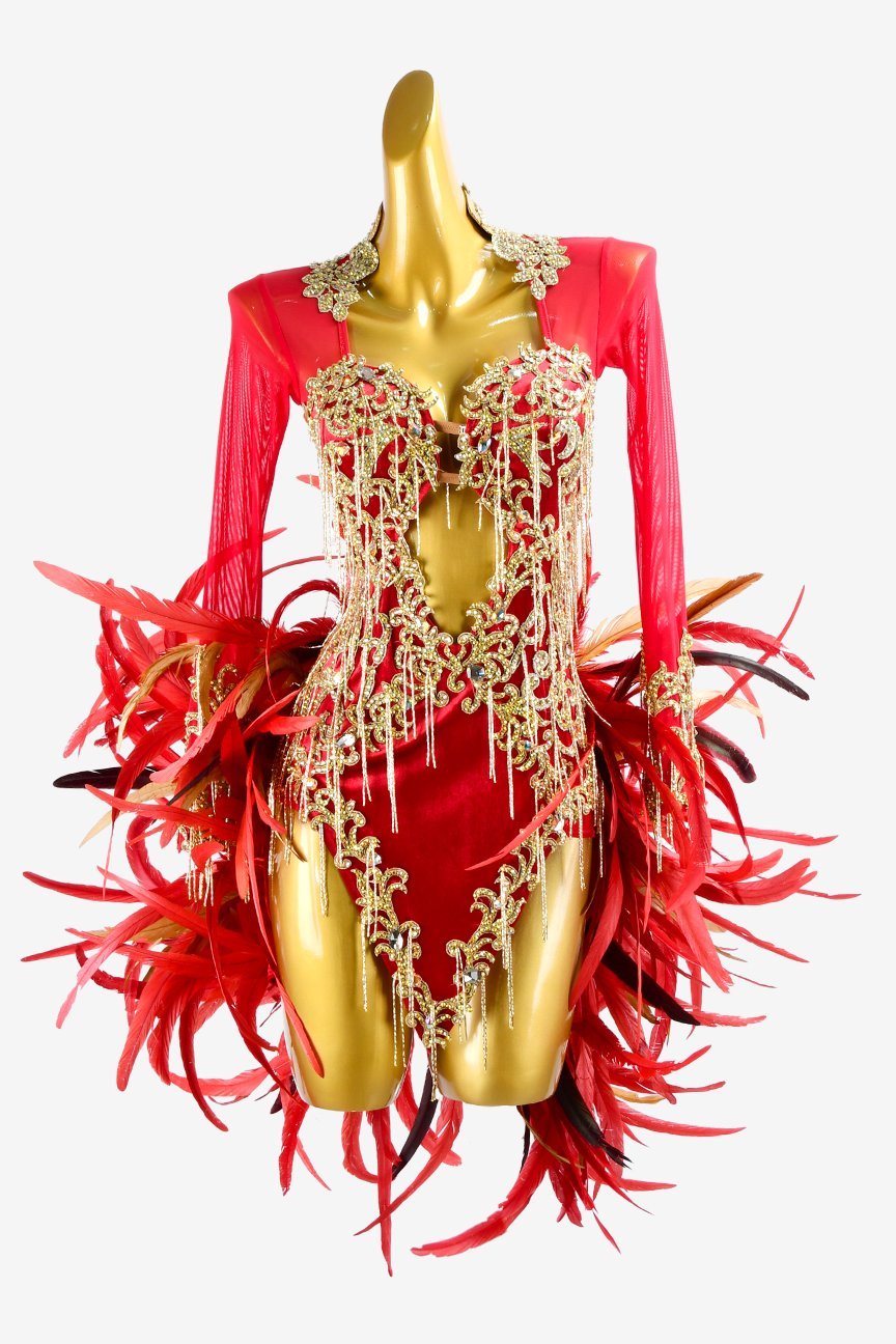 Crimson Mesh Latin Dress with Lace Appliqués, Feathers, Gold Beaded Fringes, and Crystal AB Accents image 0