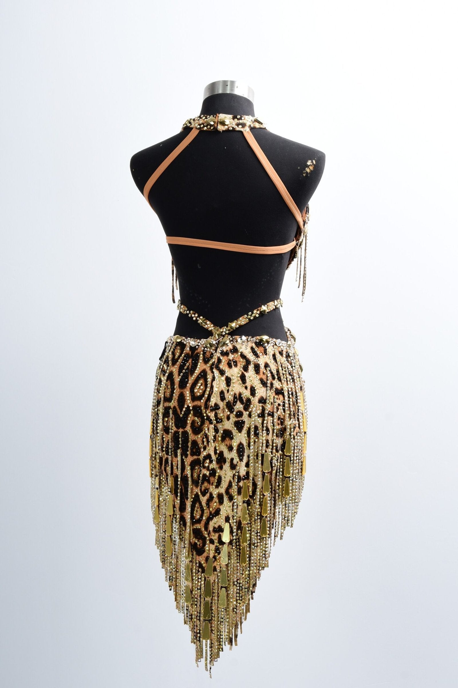Crystalline Leopard Print Latin Feather Dress for Latin/Rhythm Dance image 1