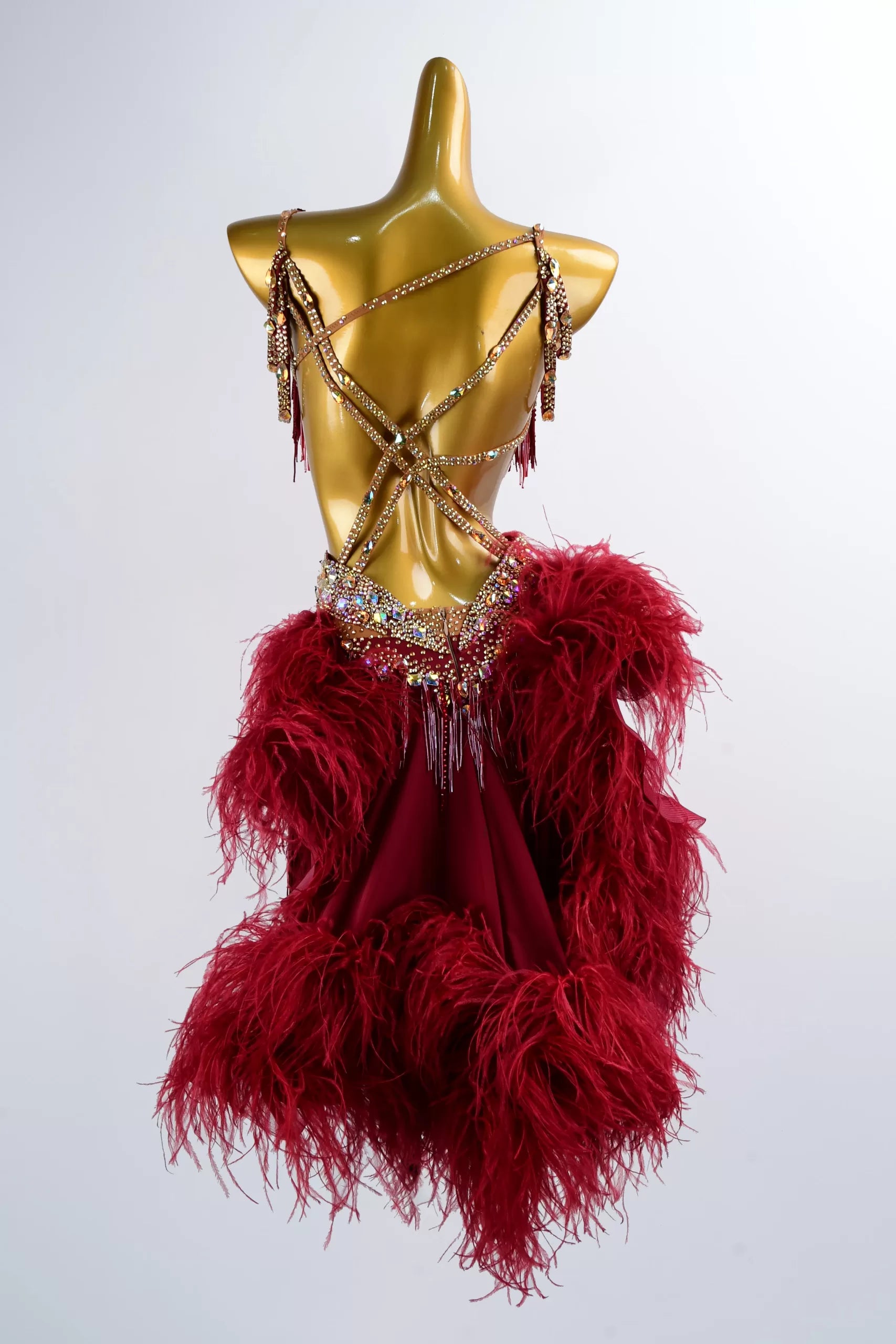 Red Latin Ballroom Dance Competition Dress image 1