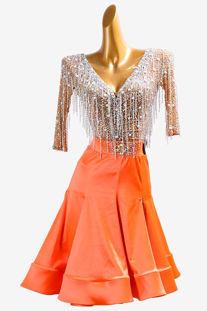 Glamorous Fringed Latin Dance Dress image 0