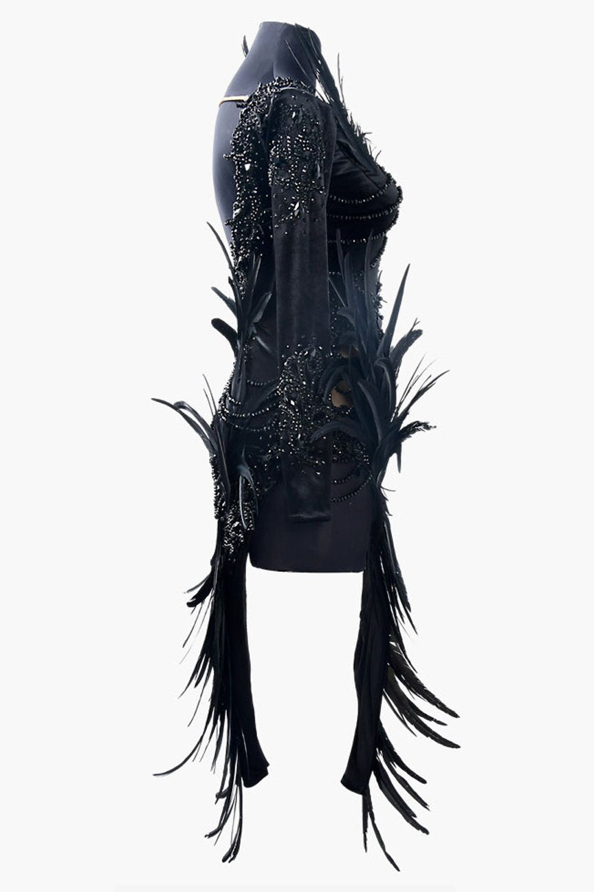 Black stretch velvet Latin dress with mesh sleeves, beadings, feathers, crystals & sew-on stones image 1