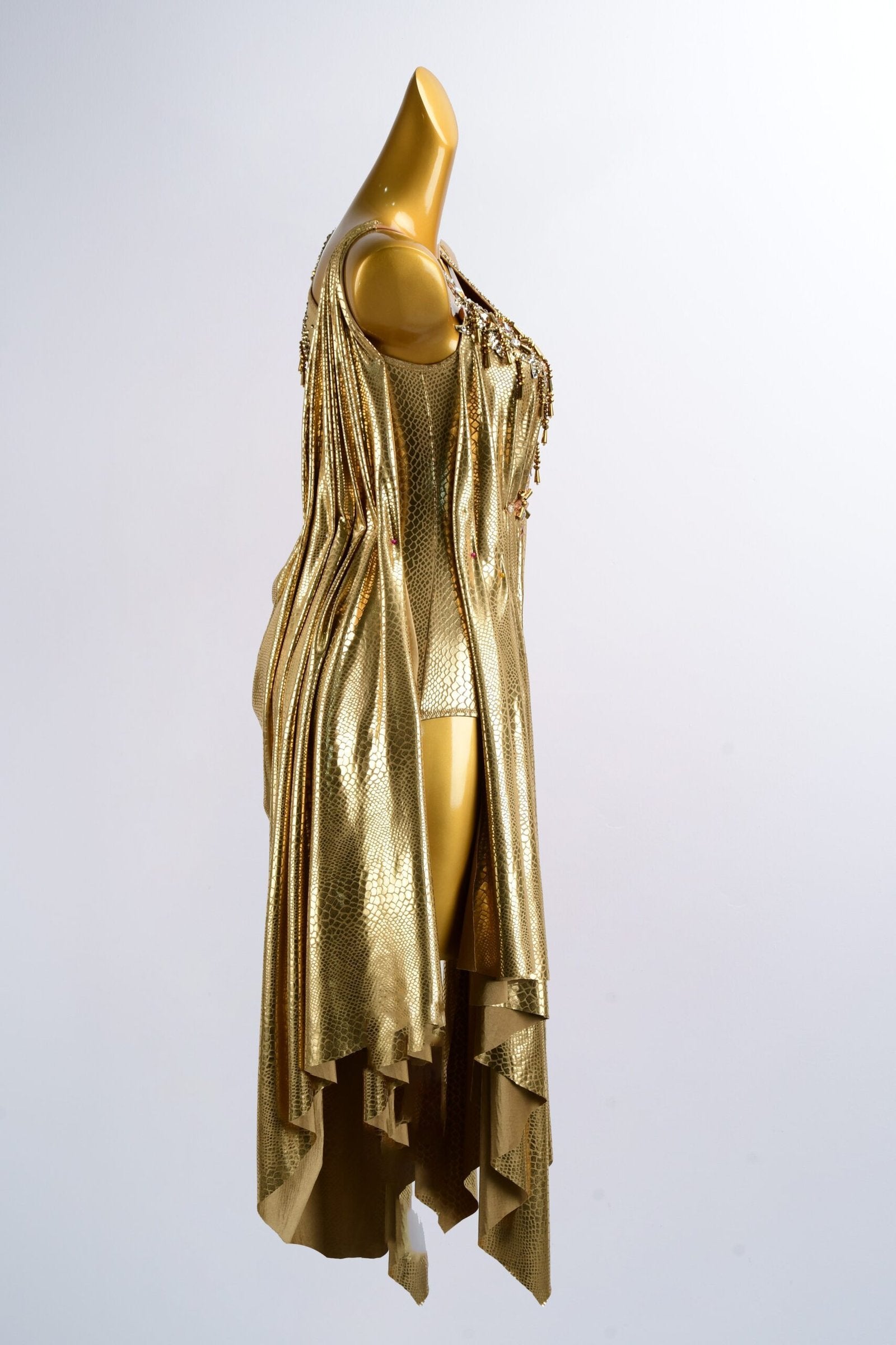 Gold Dragon American Smooth Sleeveless Dance Dress image 2