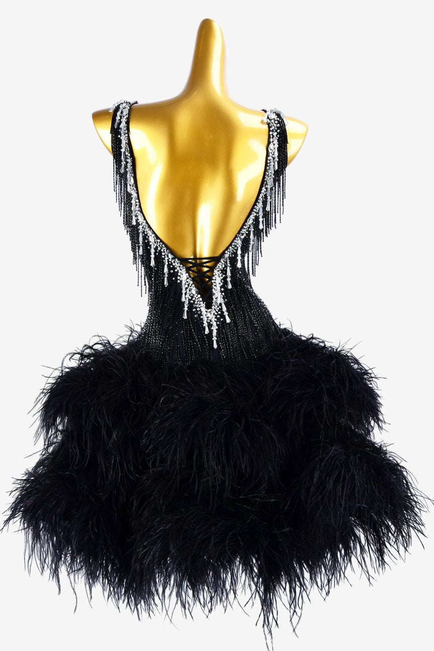 Black lycra Latin dress with sheer beadings, beaded fringes, feathers & rhinestones image 3