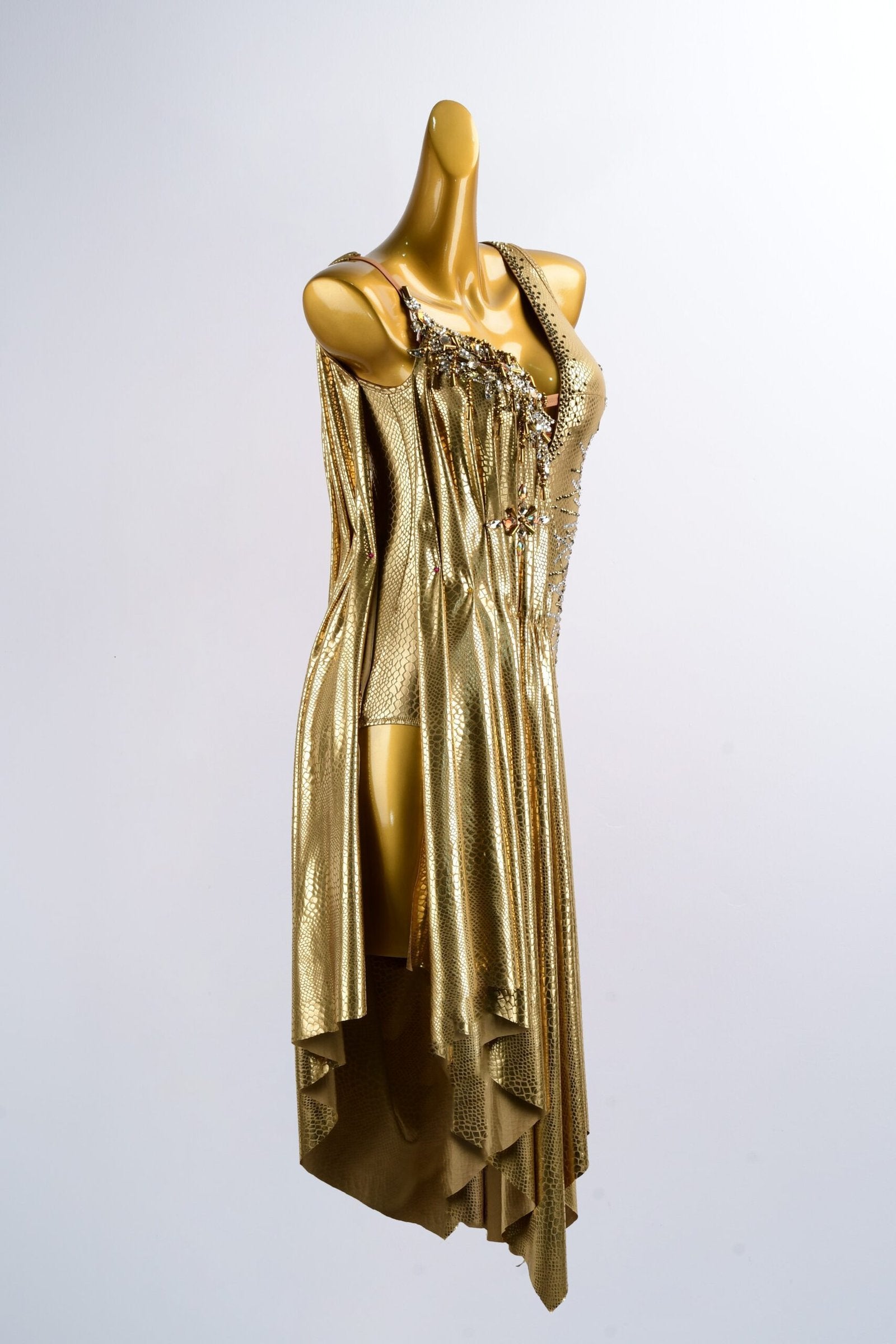 Gold Dragon American Smooth Sleeveless Dance Dress image 3