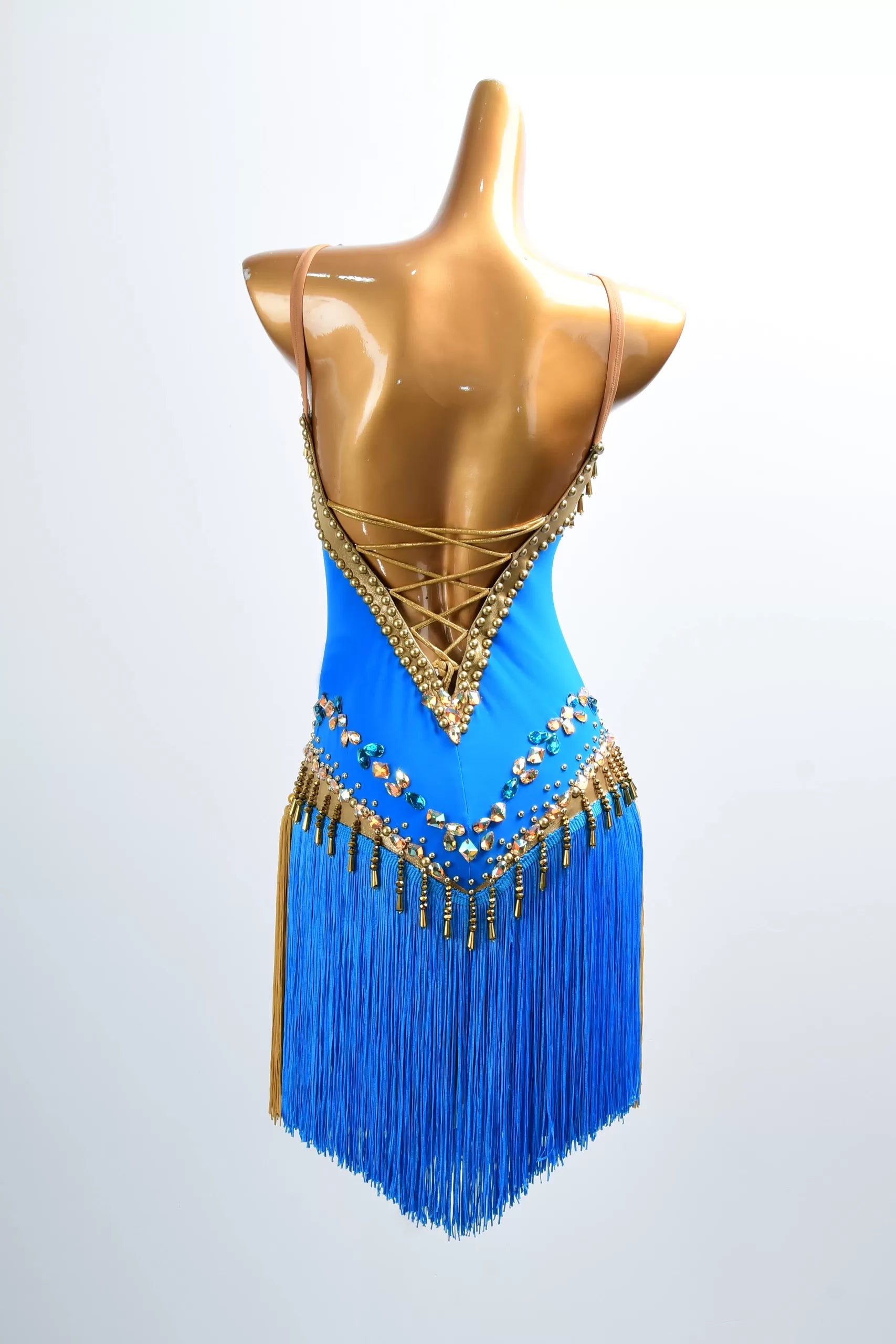 Golden Line Crystallized Fringe Latin Dress image 1