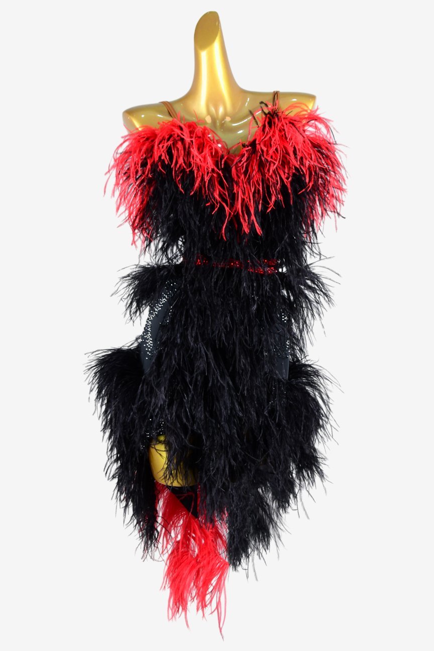 BaileBelle Black Matte Lycra Backless Latin Dress with Rhinestones and Feather Details image 0