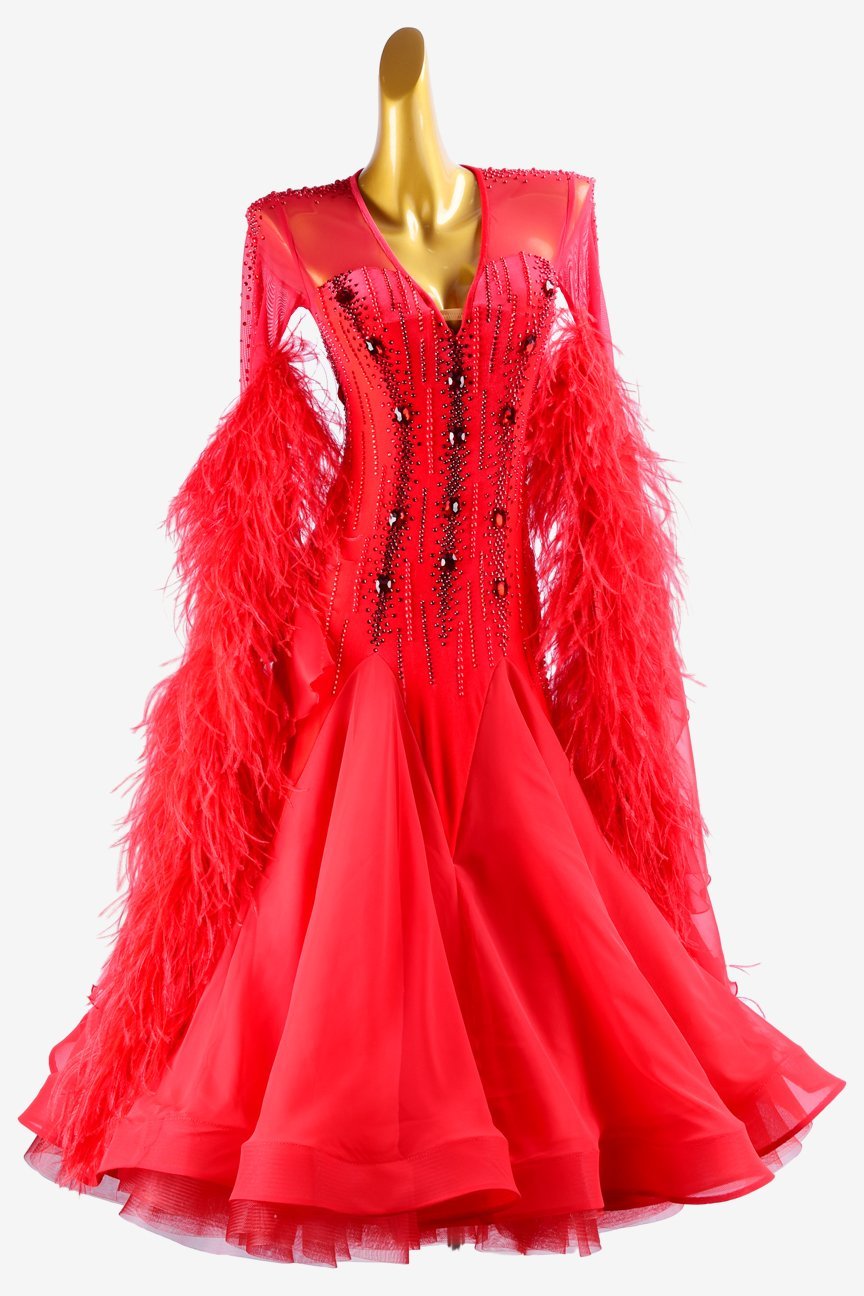 Red lycra Standard dress with pearl chiffon underskirt with feathers, crystals & sew-on stones image 0