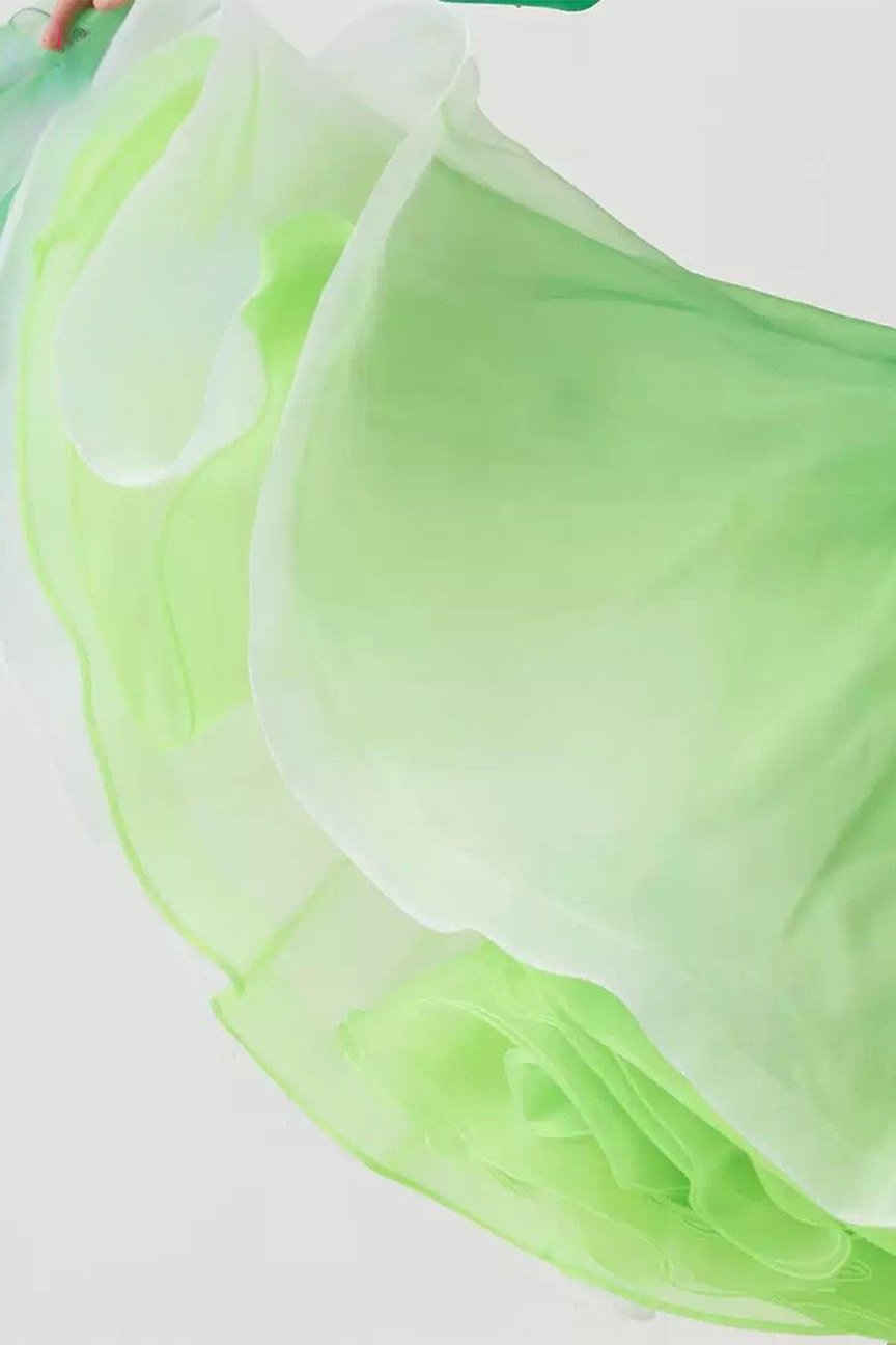 Bailebelle Fashion new national standard modern dance performance competition costume big swing dress ballroom dance skirt Green image 2