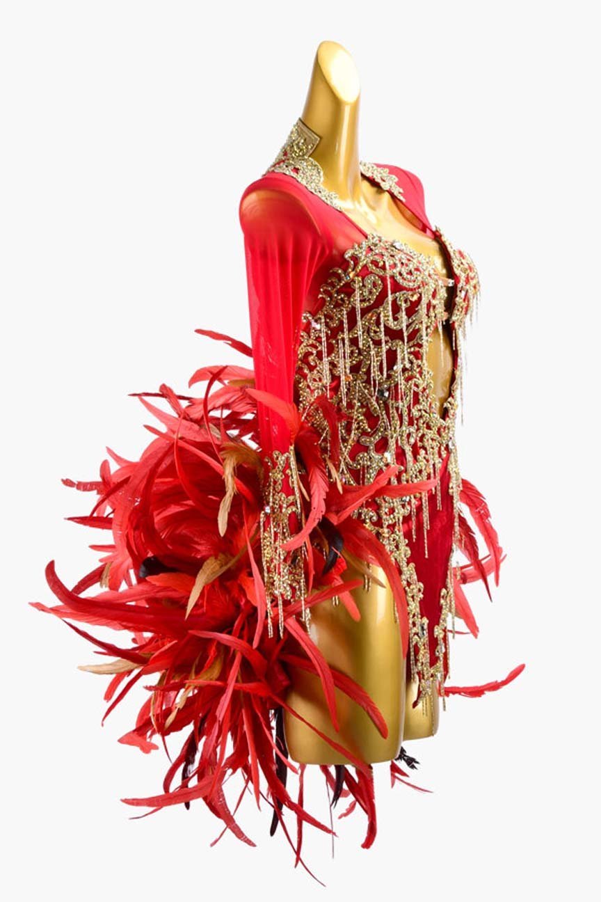 Crimson Mesh Latin Dress with Lace Appliqués, Feathers, Gold Beaded Fringes, and Crystal AB Accents image 2
