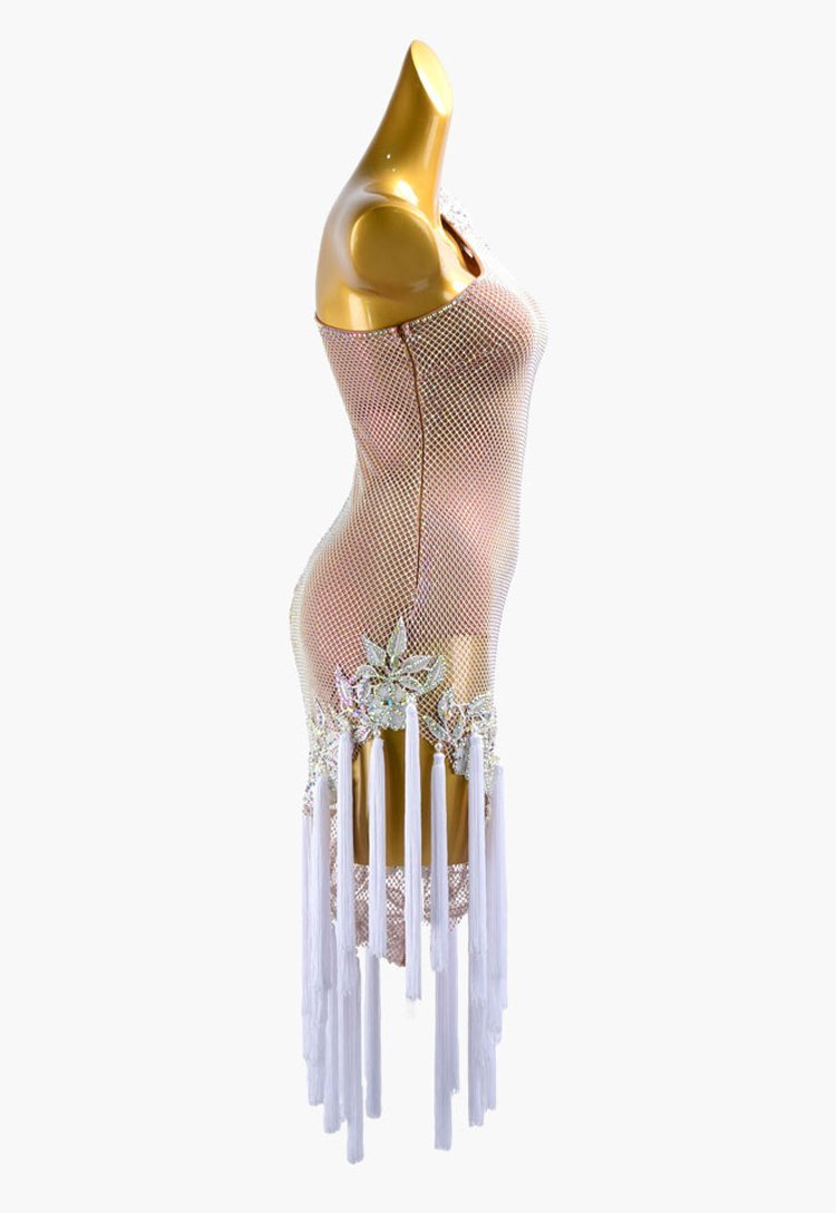 Fleshtone lycra Latin dress with fishnet, crystal lace appliqués, AB stone & white tassels image 2