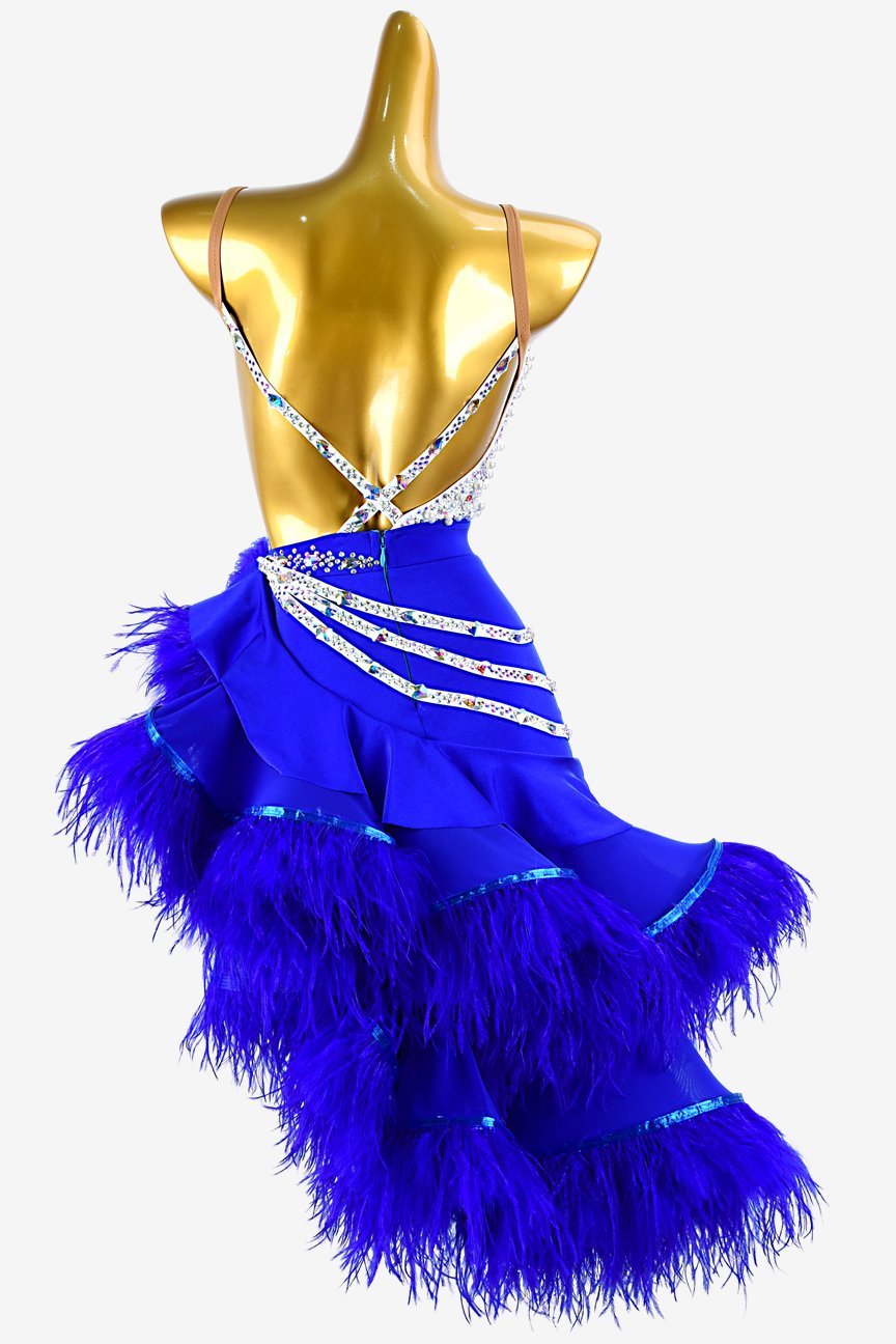 Medium Blue Latin Dress with Ruffle Fishbone Skirt, Feathers, and White Crystal AB Accents image 1