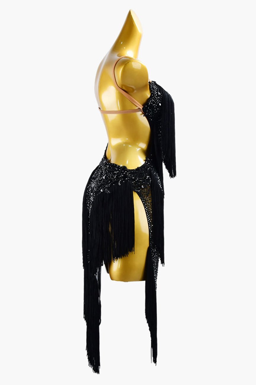 Bailebelle Fashion Black lycra Latin dress with rhinestones, crystal lace appliqués & black fringes image 2