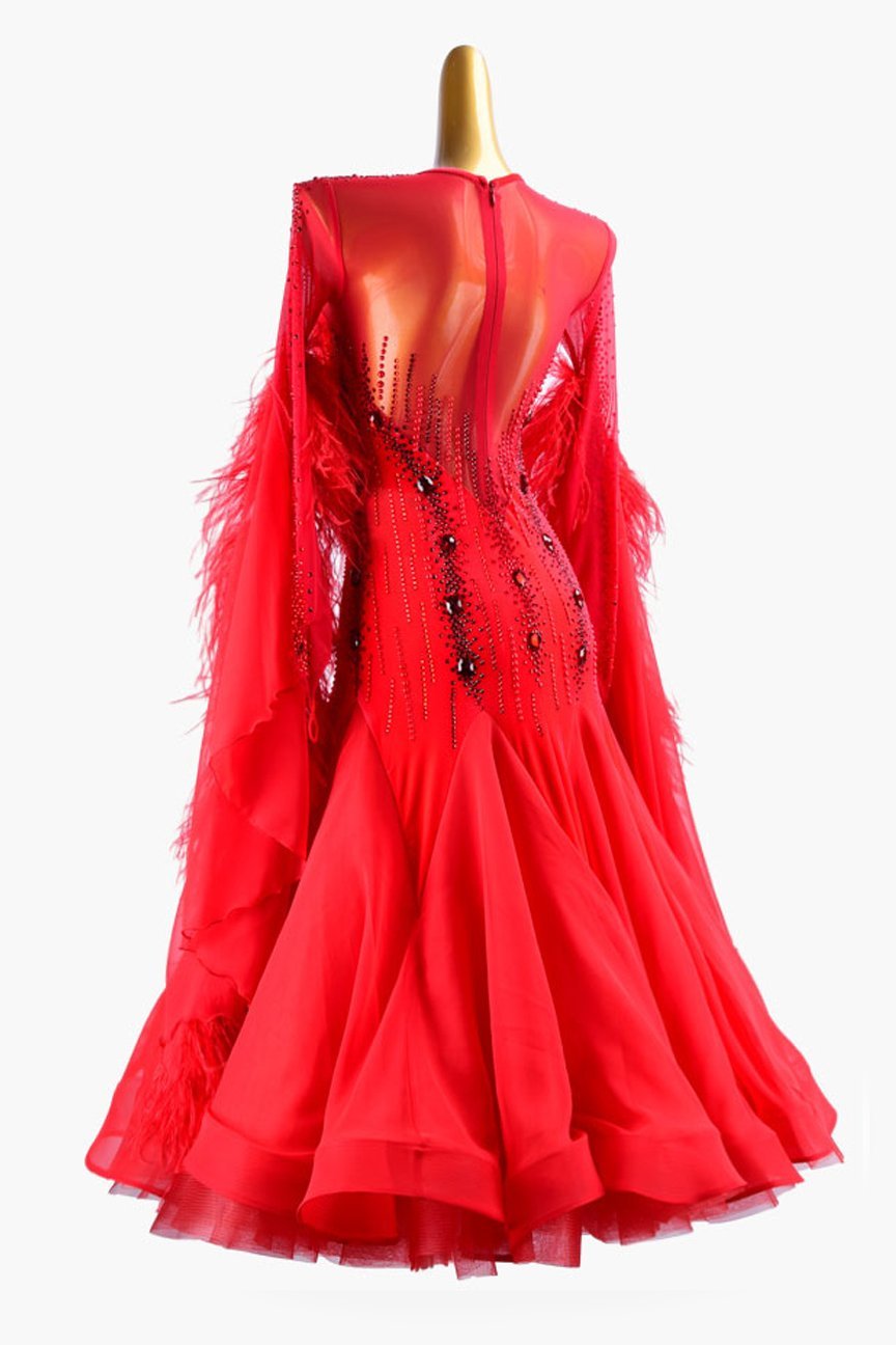 Red lycra Standard dress with pearl chiffon underskirt with feathers, crystals & sew-on stones image 2