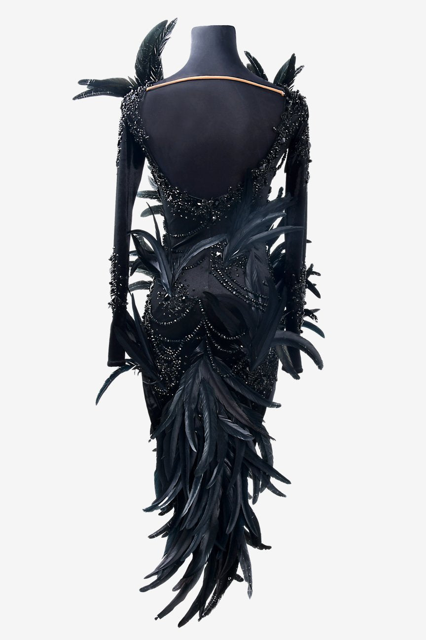 Black stretch velvet Latin dress with mesh sleeves, beadings, feathers, crystals & sew-on stones image 3