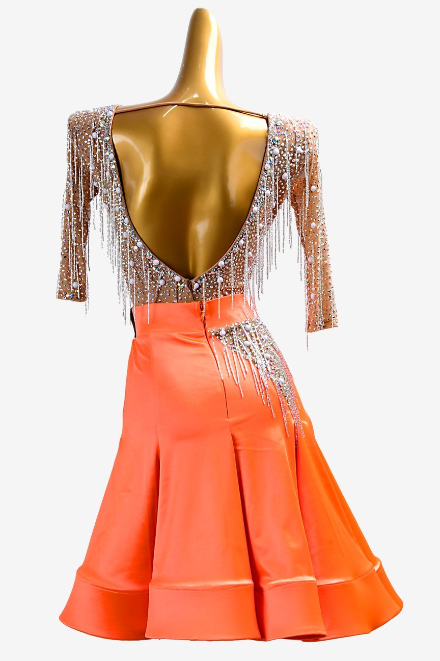 Glamorous Fringed Latin Dance Dress image 0