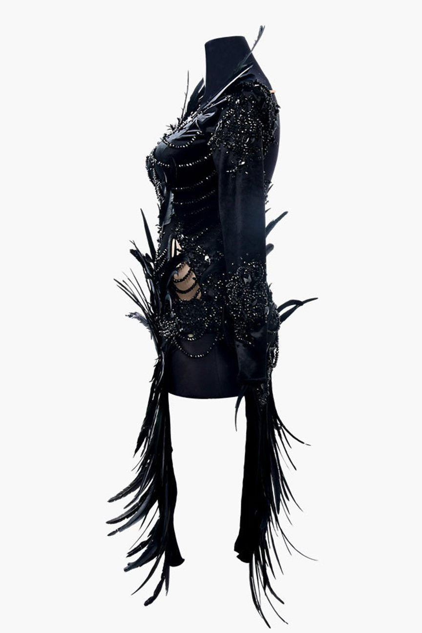 Black stretch velvet Latin dress with mesh sleeves, beadings, feathers, crystals & sew-on stones image 2