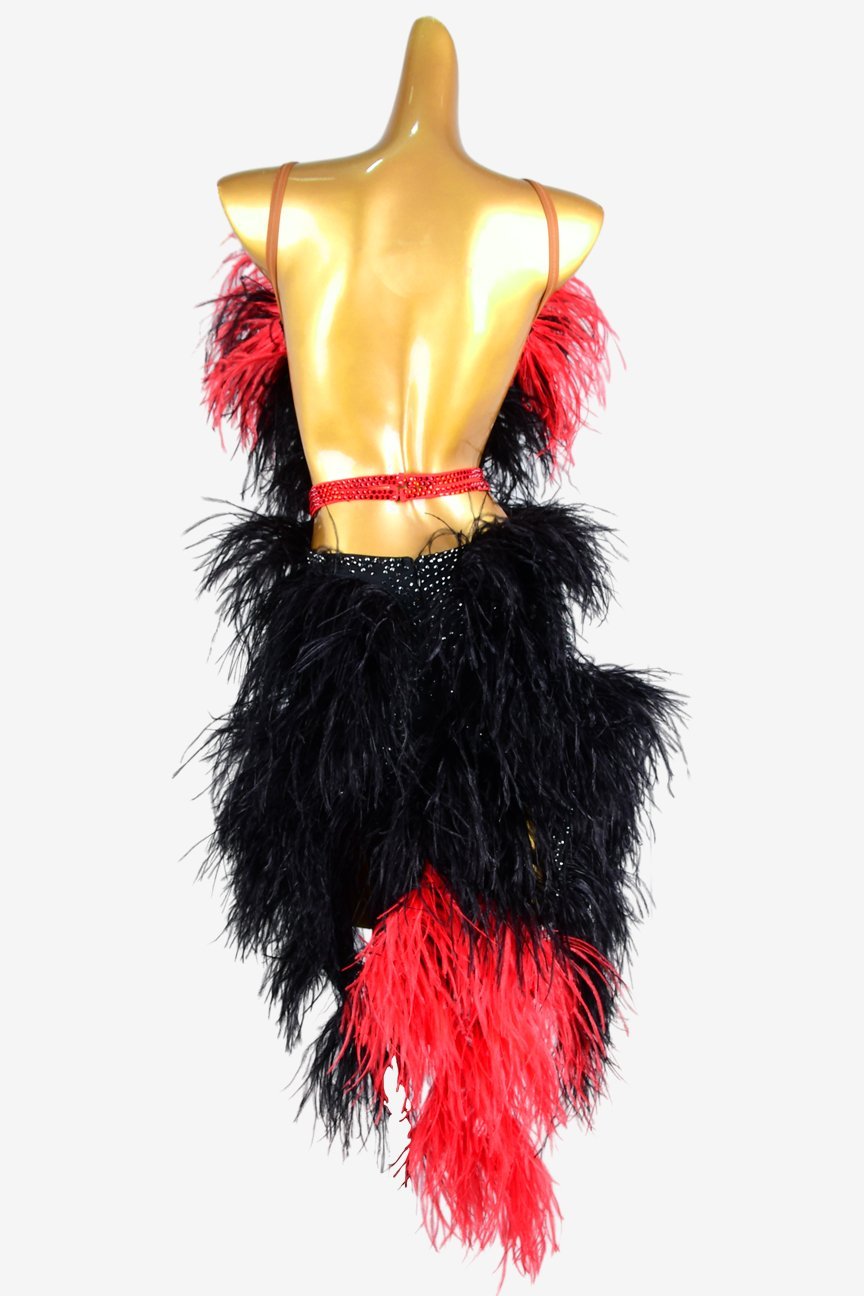BaileBelle Black Matte Lycra Backless Latin Dress with Rhinestones and Feather Details image 0