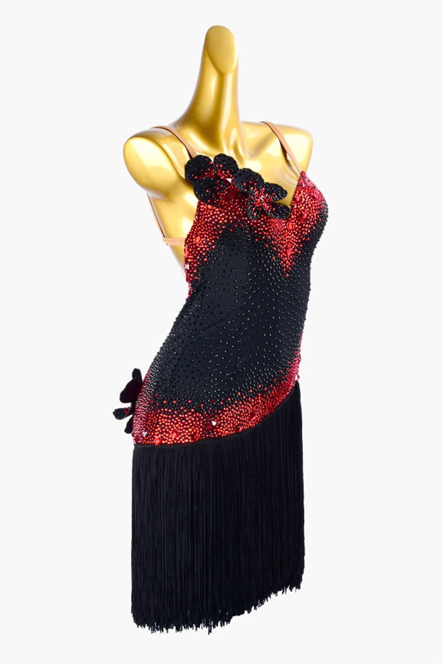Black matt lycra Latin dress with fringes, rhinestone appliques, red crystals & sew-on stones image 1