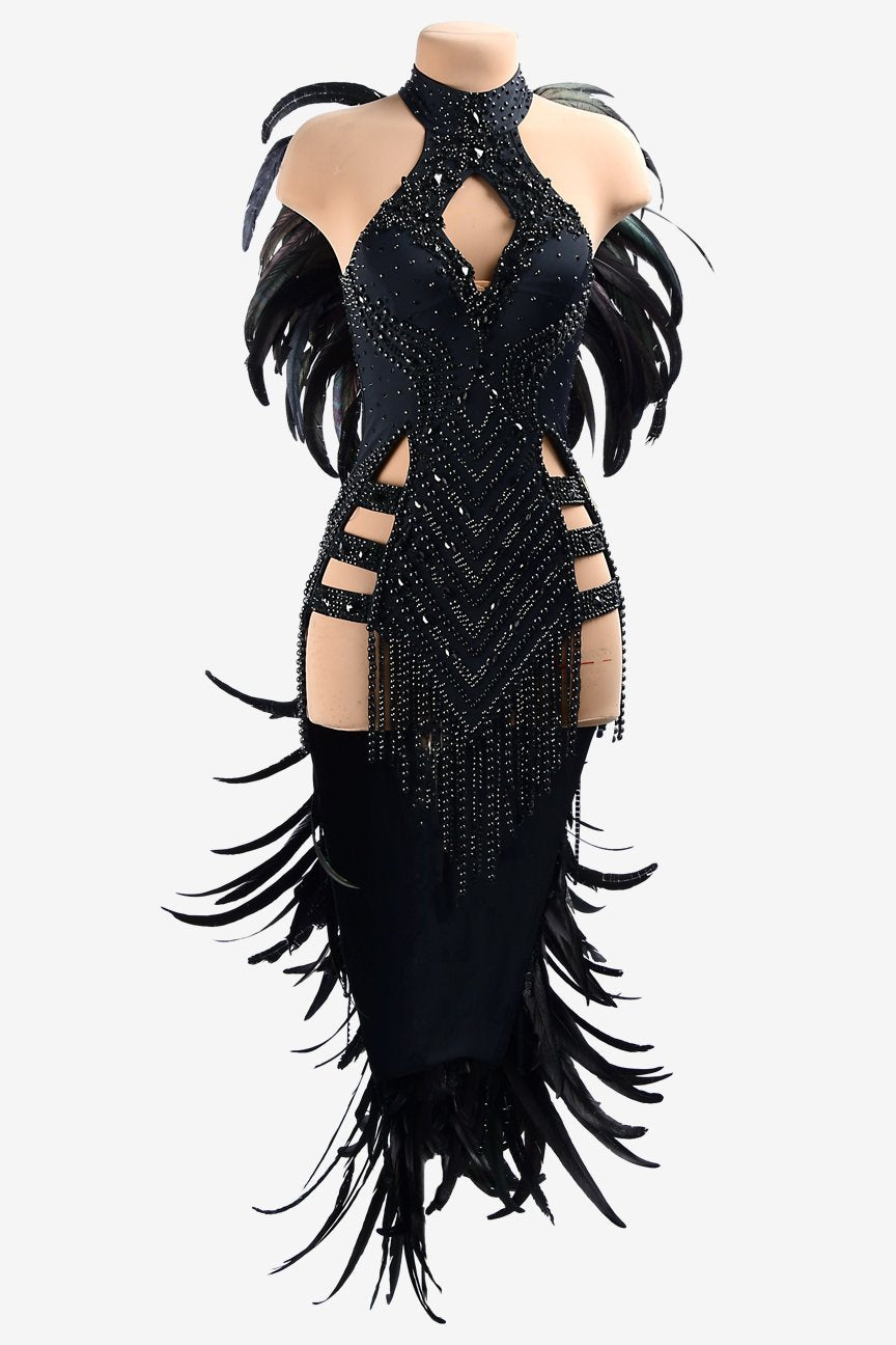 Black matt lycra Latin dress with rhinestones, beaded fringes & feathers image 0