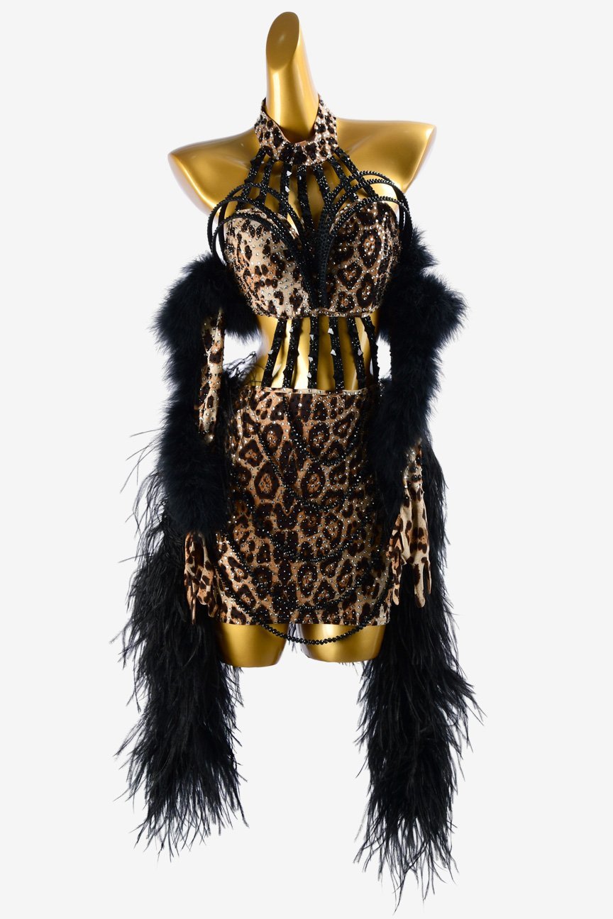 Leopard print Latin dress with feather and crystal AB image 0