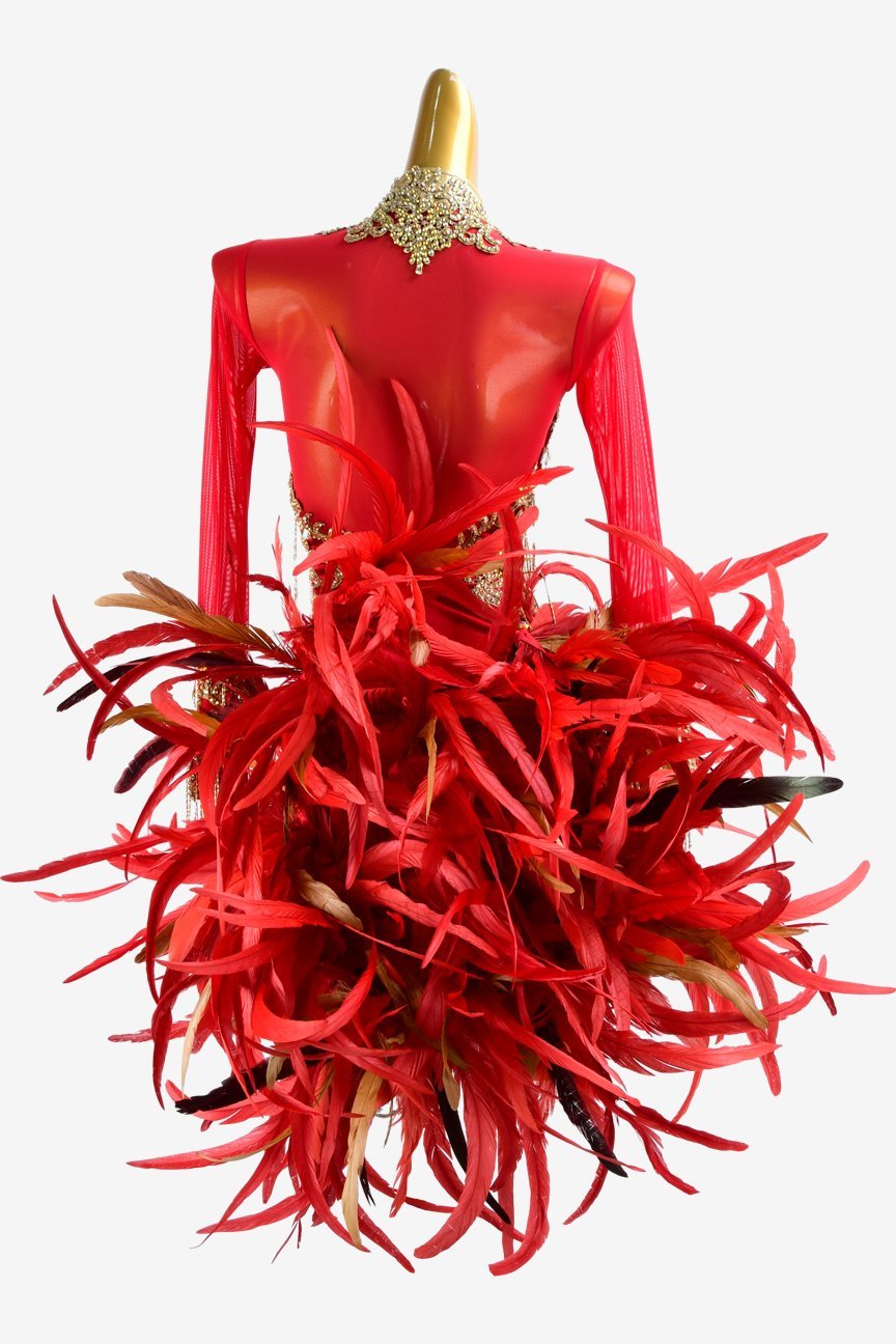Crimson Mesh Latin Dress with Lace Appliqués, Feathers, Gold Beaded Fringes, and Crystal AB Accents image 1