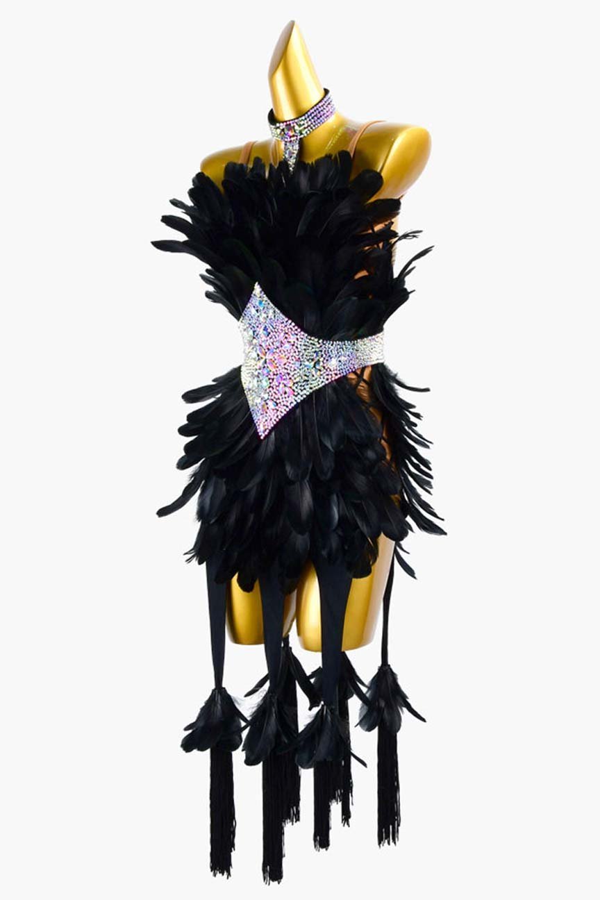 Black Latin Dress with Tassels, Feathers, White Crystal AB, and Sew-On Stones image 2