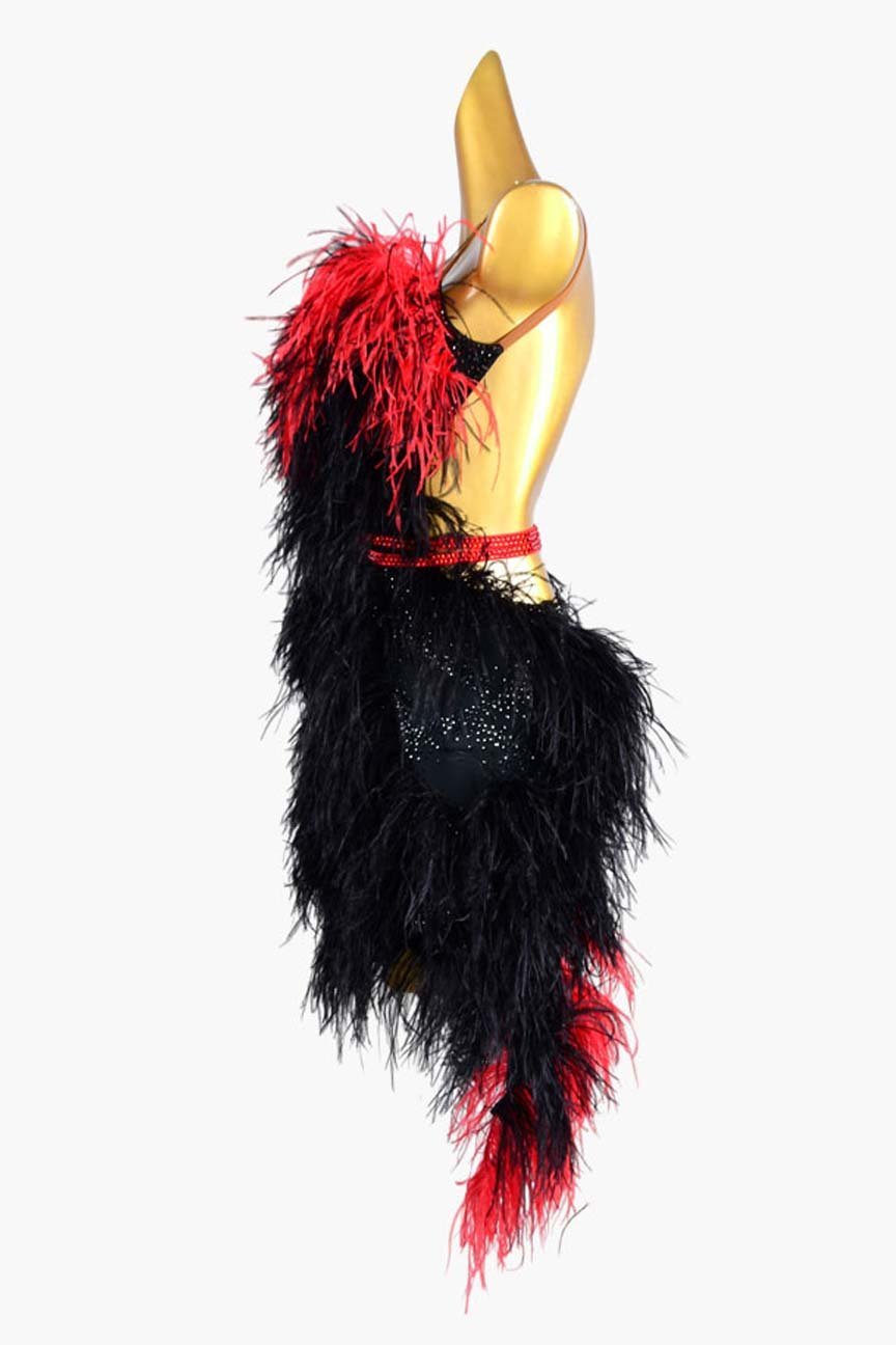 BaileBelle Black Matte Lycra Backless Latin Dress with Rhinestones and Feather Details image 2