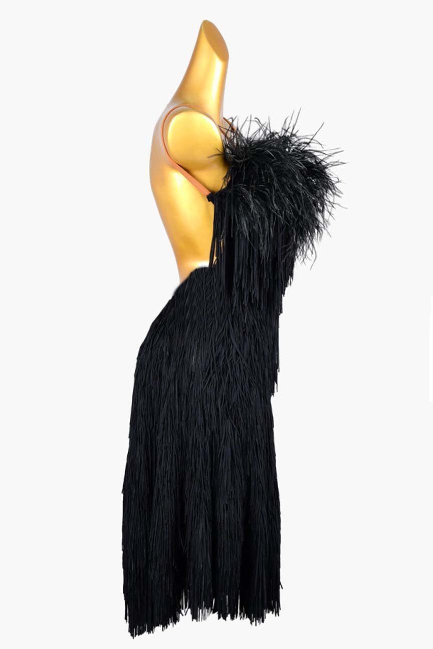 Black Matte Lycra Backless Latin Dress with Fringe and Feather Accents image 3