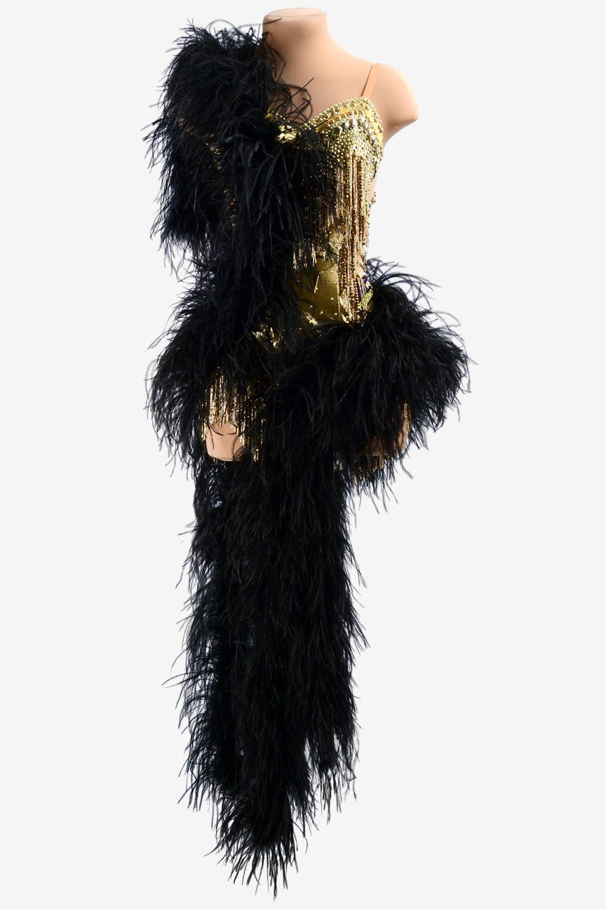 Gold dot shine lycra Latin dress with stone fringes, black feathesr,  mirror stones & crystals image 0