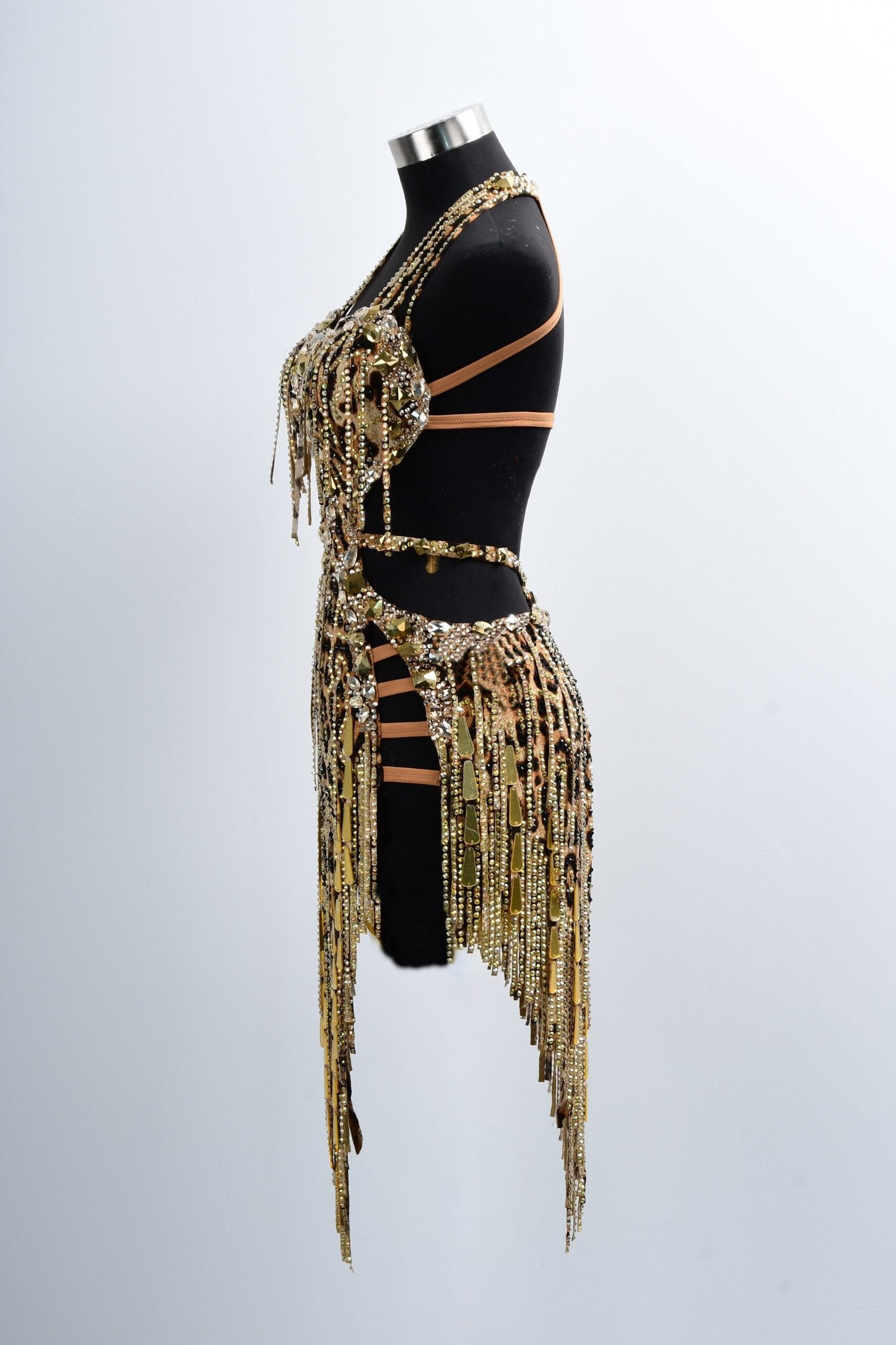 Crystalline Leopard Print Latin Feather Dress for Latin/Rhythm Dance image 3