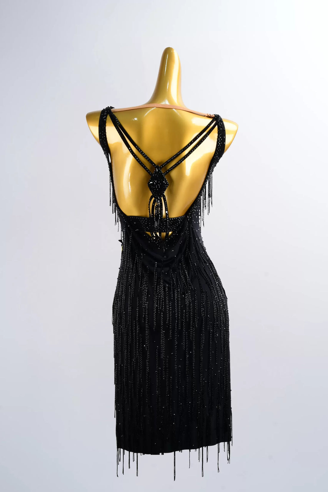Black Tassel Latin Dance Dress – V-Neck Sleeveless Design image 0