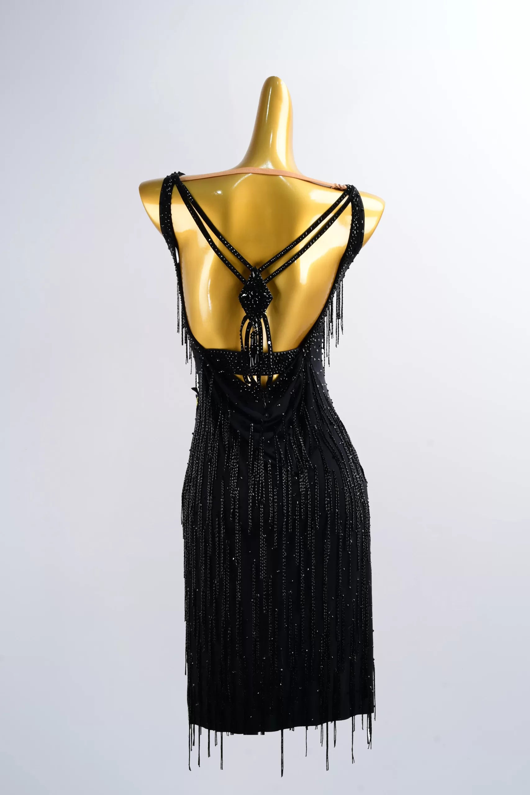 Black Tassel Latin Dance Dress – V-Neck Sleeveless Design image 1