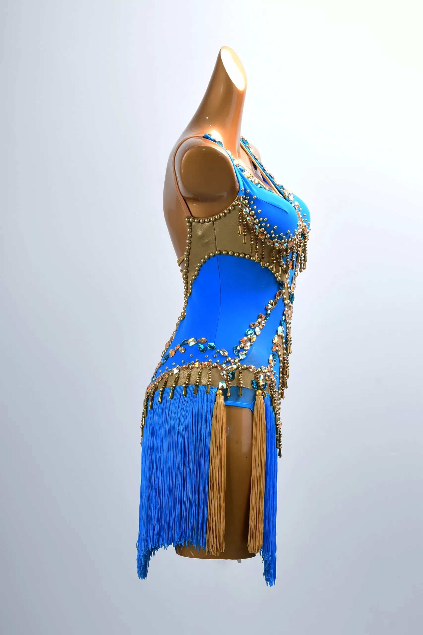 Golden Line Crystallized Fringe Latin Dress image 3