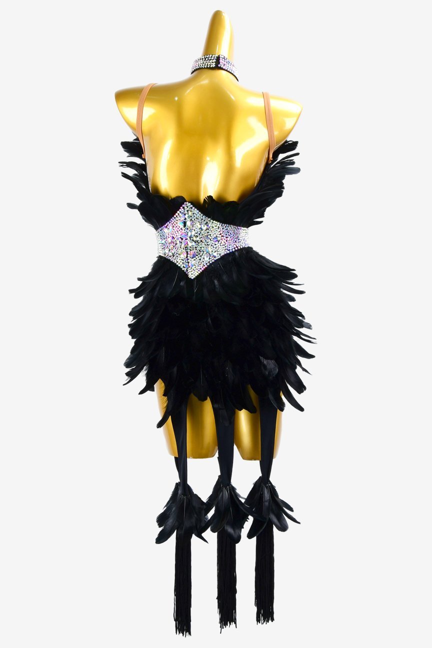 Black Latin Dress with Tassels, Feathers, White Crystal AB, and Sew-On Stones image 0