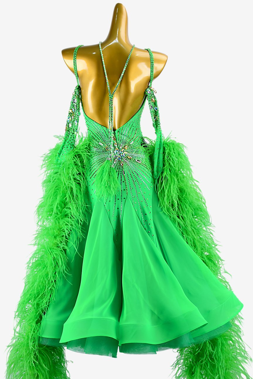 Spring Green Standard Dance Dress with Pearl Chiffon image 1