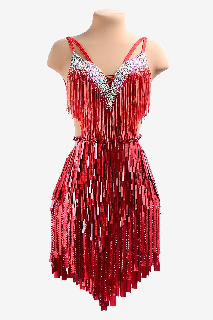 Red lustre lycra Latin dress with stone fringes, beaded fringes, sequins, AB crystals & sew-on stones image 0