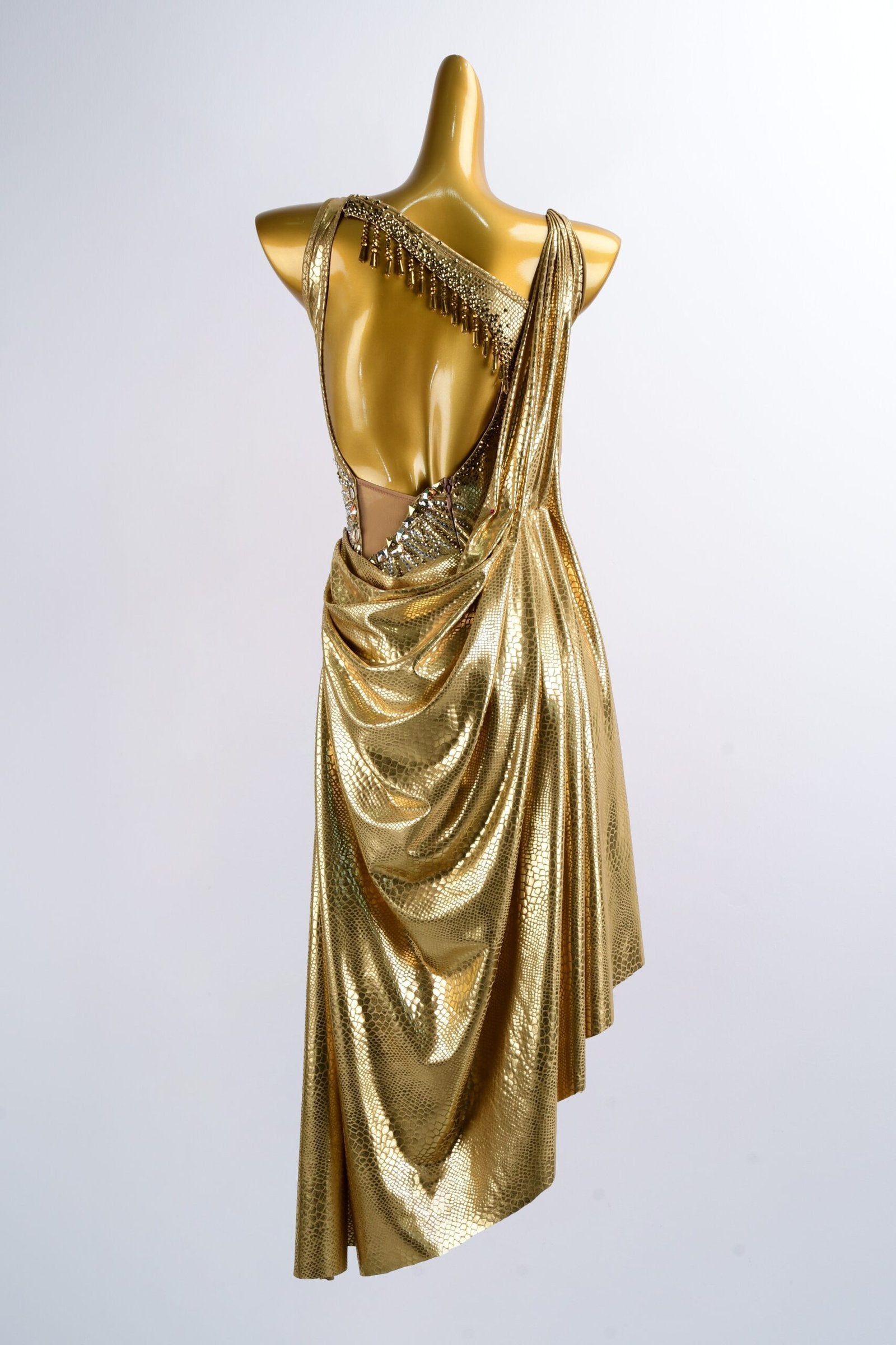 Gold Dragon American Smooth Sleeveless Dance Dress image 1