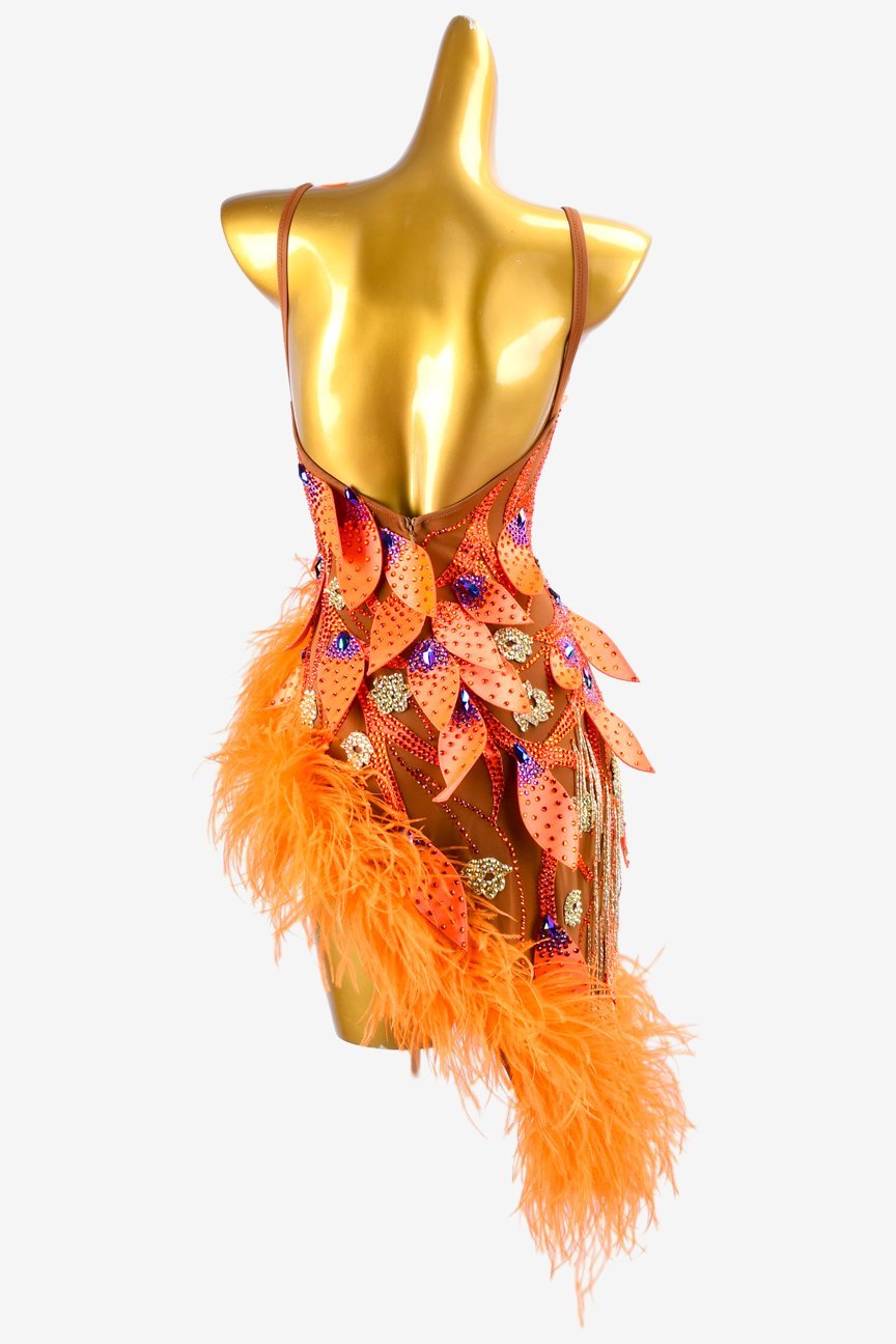 Sun oranger mesh Latin dress with rhinestone applique, beaded fringes, feathers & crystals image 3